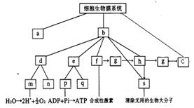 iat00043248.jpg