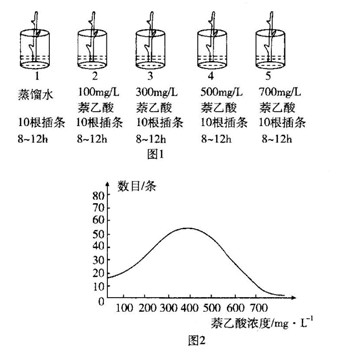 jvq00014254.jpg