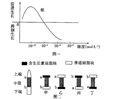 jvq00014255.jpg