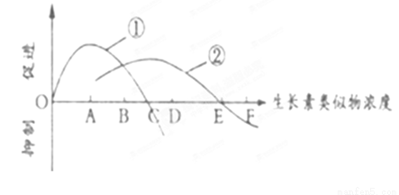jvq00017875.png