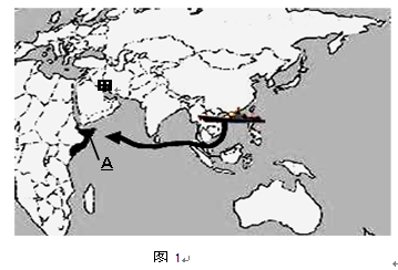 oen00013087.png
