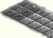 出其划线部分与所给单词的划线部门读音相同的