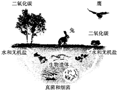 ppn00000771.png