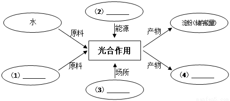 yjs00038979.png