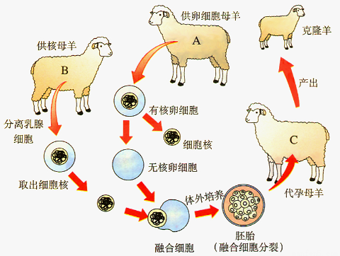 yjs00009881.png